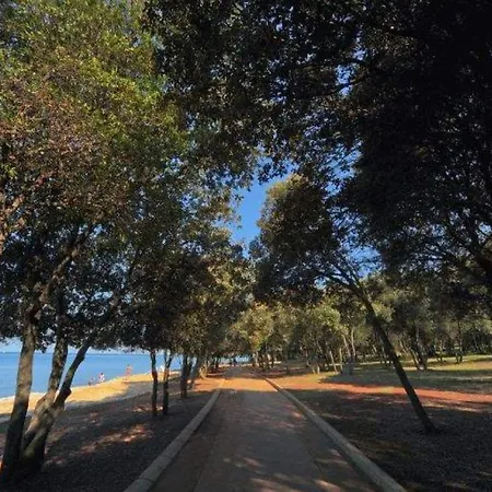 Rafaelle With 3 Bedrooms And Pool In Porec Tar-Vabriga